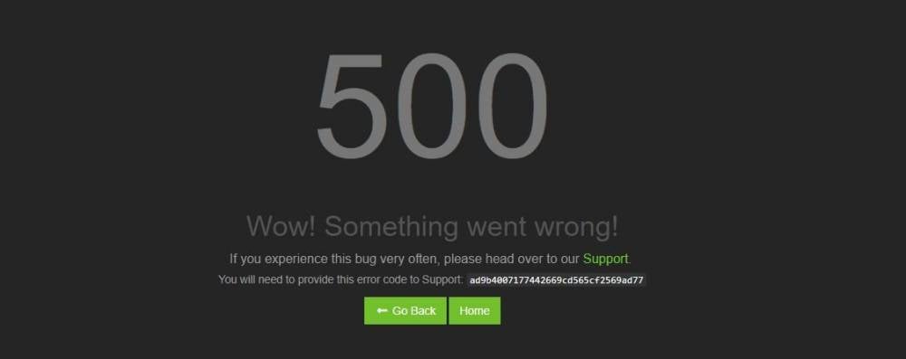 website 500 error