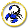 scorpion1611