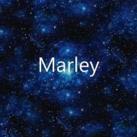 Marley24689