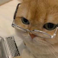 Profecter
