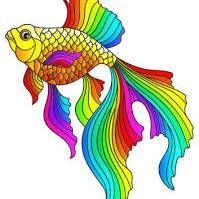 Rainbowfish