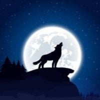 Luna77