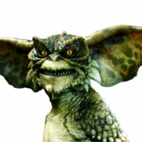 Junnky