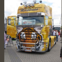 The Tiger