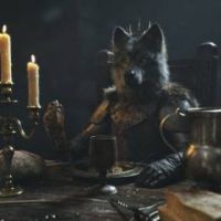 Wolfykins