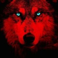 _RedWolf_