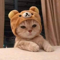 Henry_0005