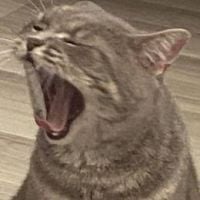 User_3812968