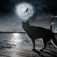 AloneWolf.