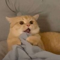 3601
