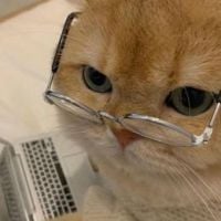 Profecter