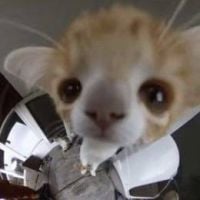 Горячий кофе с молоком