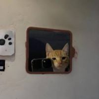 dndinx