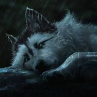 Black Wolf Harmful