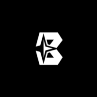Bolorer