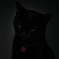 Kappuh