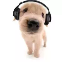 Toshy<3