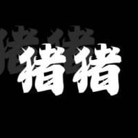 QC-Zhu Zhu