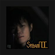 SteamNOC