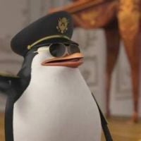 Шкипер222