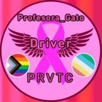 Profesora_Gato