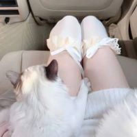 小逸塵吖
