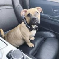 RussellakaBigTruckerUk1