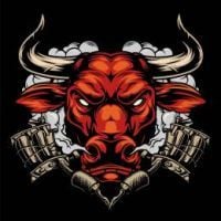 Toro da Bull