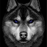 Dєя___Oѕѕi[TTV-LIVE]