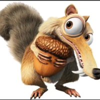SCRAT NUT