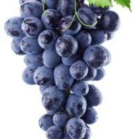 Grape'