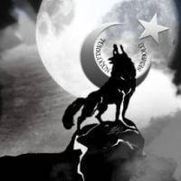 L Ø N E L Y  W Ø L F