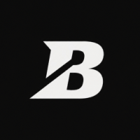 Bolorer