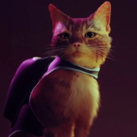 MrKotya
