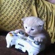 Catgamer747